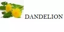 dan2.gif