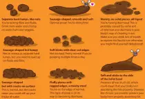 poop.jpg