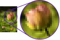 Imagen.jpg