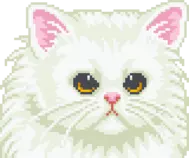 img_1.gif