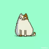 img_2.gif