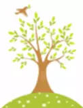g/images/tree.png