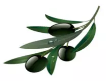 images/olive.png