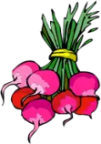 images/radish.png