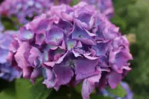 images/gallery/17.jpg