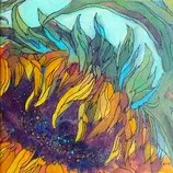 sunflower.jpg