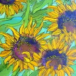 sunflower2.jpg