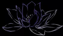 draw-flower/flower/result/lotus.png