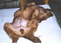 art16_clip_image010.jpg