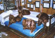 art16_clip_image012.jpg