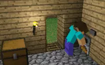 fn8.gif