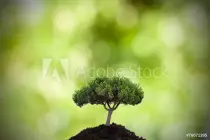 images/adobestock.jpeg