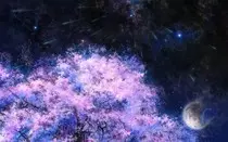 blackground.jpg