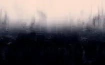 image/back.jpg