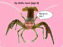 f5.png