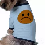 images/tshirt.jpg