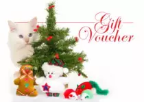 img/Voucher4.jpg