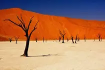 mod2ejercicioOpcional3/desiertoNamibiaGrande.jpg