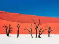 mod2ejercicioOpcional3/desiertoNamibiaMediano.jpg