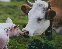 animals.jpg
