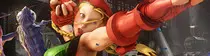 img/sfv.jpg