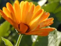 images/image2.jpg