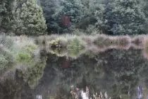 img/pond.jpg
