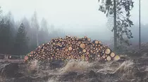 boss/HTML/assets/img/frontpage/image3.jpg