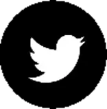 twitter_icon.png