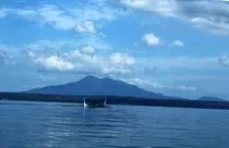 nature.jpg