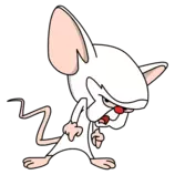 pinky.png