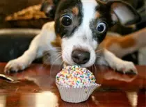 cupcake.jpg