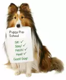 puppy.gif