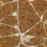 images/texture4.png