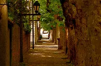 modulo3_obligatorio/imagenes/colonia6.jpg