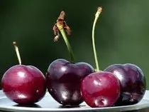 imagenes/cerezas2.jpg