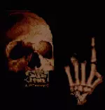 8.gif