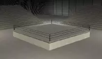 wrastlemanina.png