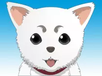 sadaharu.jpeg