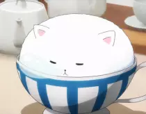 tippy.jpg