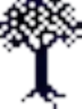 arbre1.png