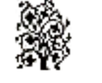 arbreenlumineicone.png