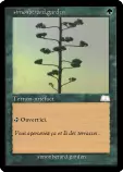 cartejardin.png