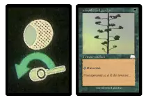 cartejardin2.png