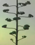 extrarbreweb.jpg