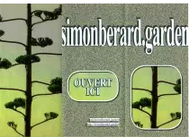 scanbrochure2.png