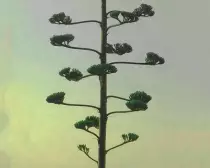 seuilmagic.jpg