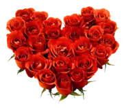 rose_PNG642.png