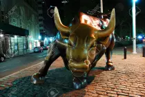 bull2.jpg