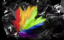 eddited flower.jpg